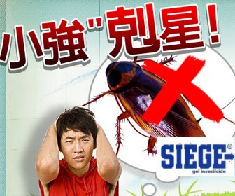 蟑螂剋星