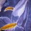 flowerCloseUp.jpg flowerCloseUp.jpg