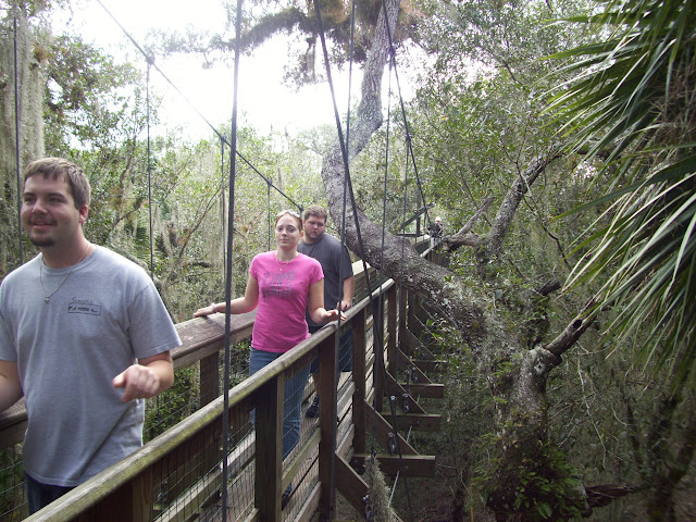 canopy walk
