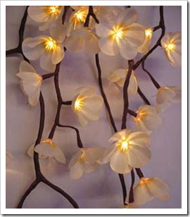 Frangipani-260 Frangipani-260