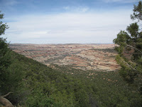 Salt Creek Canyon from upper trailhead Photo