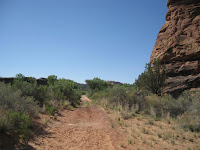 Salt Creek Trailhead jeep road Photo