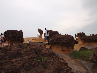 P6264521.JPG