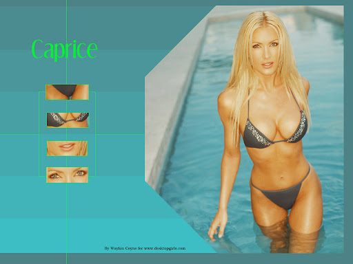 Awesome sexy wallpapers girls