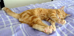 http://lh3.ggpht.com/_iTVwe9T6djs/SbsPznxdndI/AAAAAAAACWE/tcd4R_-Sejw/s144/P1030359.JPG