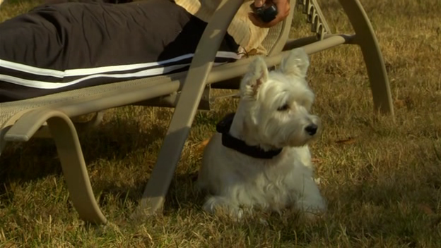 [The No Sit List (2009)3[2].png]