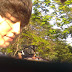 ＜20110209＠12Plus CF Shooting / Cr. Allmylove_13lue ＞