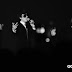 ＜2011＠20110429＠K-POP Wave Concert in Thailand / Cr. GOSSIPGIRLSxoxo (twitter.com/GOSSIPGIRLSxoxo) ＞
