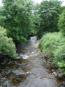 DSC05275.JPG