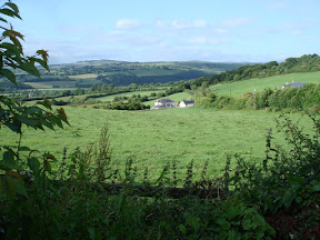 DSC05372.JPG