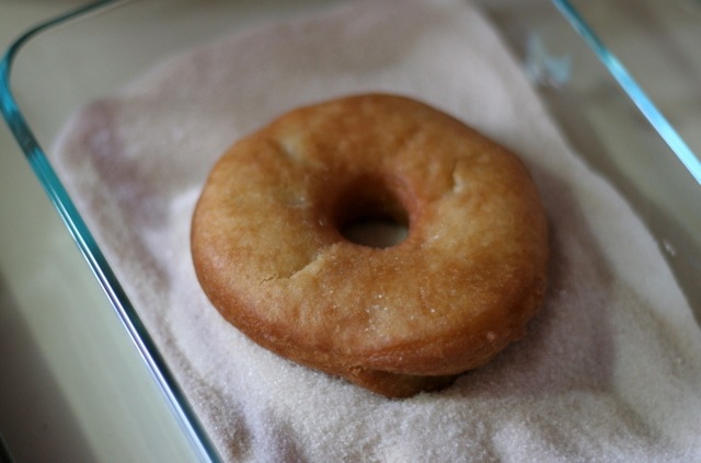[apple cider donuts 4[1].jpg]