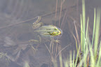 IMG_7278.jpg