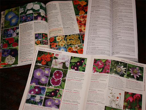 Chiltern Seeds