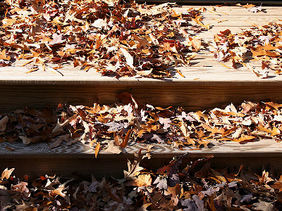 Fall Leaves on Deck