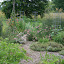 tangledbranches's TBS Kitchen garden