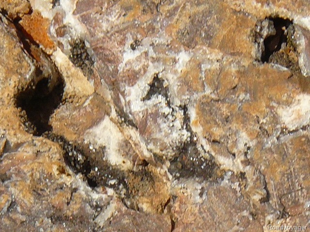 [P11008964.jpg]