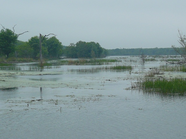 [P11206374.jpg]
