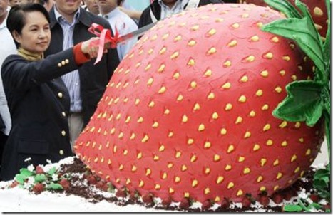 Une Fraise