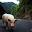 small_mg_1182.jpg
