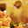 small_mg_1247.jpg