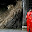 small_MG_0904.jpg
