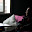 small_MG_2662.jpg