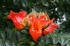 IMG_0322