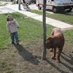 DSCN4942.jpg