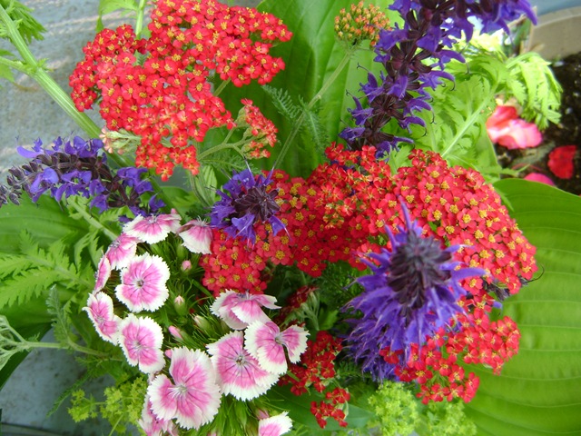 [garden 007[2].jpg]