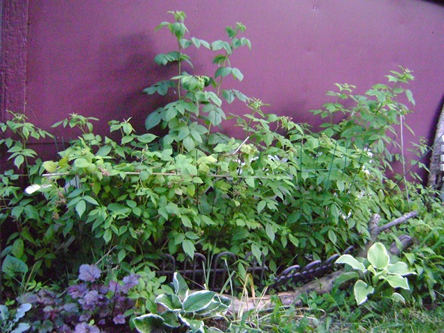 [maters 038[3].jpg]