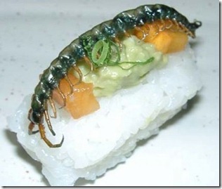 insect_sushi_07-500x423