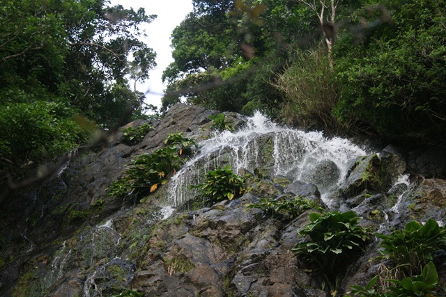 [palaui site visit 069[3].jpg]