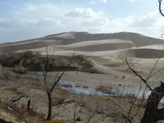 dunes