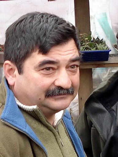 Kép