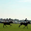 Atmosphere==
Mercedes Benz Polo Challenge- Opening Weekend==
Bridgehampton, NY==
July 24, 2010==
©Patrick McMullan==
Photo - PATRICK MCMULLANPatrickMcMullan.com==
==