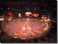 Circus 089
