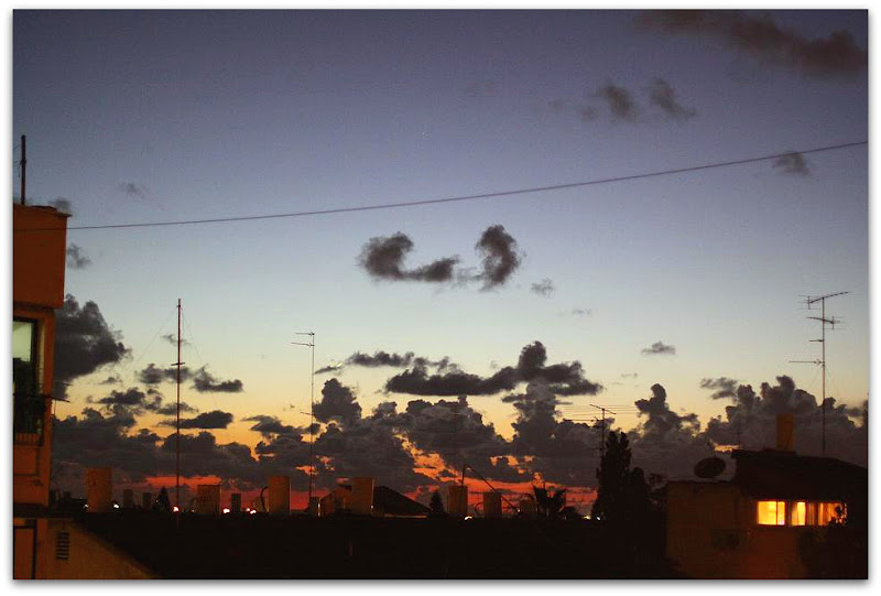 Мой обычный день