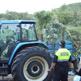 Romeria 2008