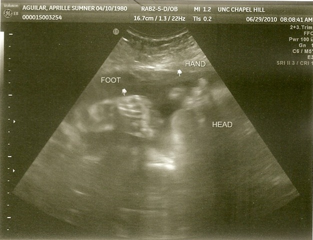 [scan0007[3].jpg]