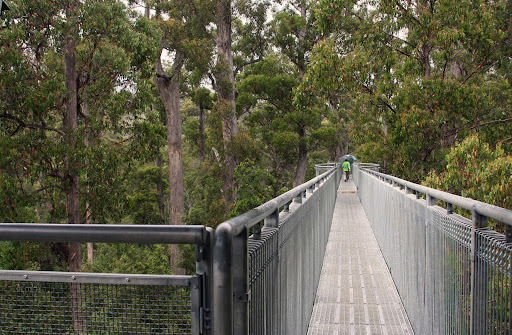 airwalk