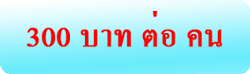 [300per2.gif]