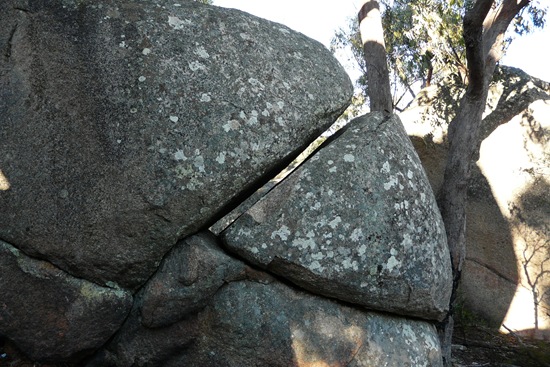 P1150195