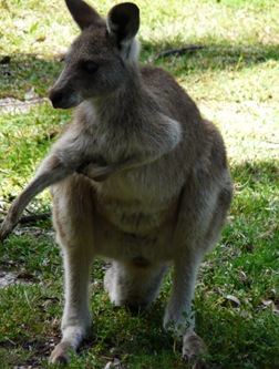 P1150263