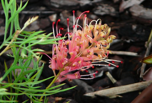 P1140262