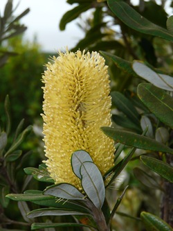 P1140273