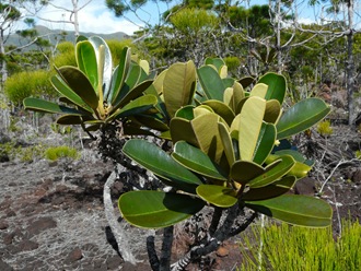 P1110624