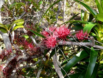 P1110643