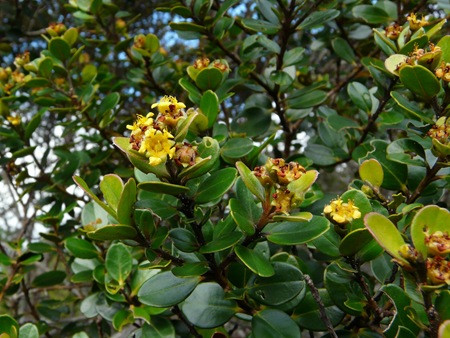 P1110799