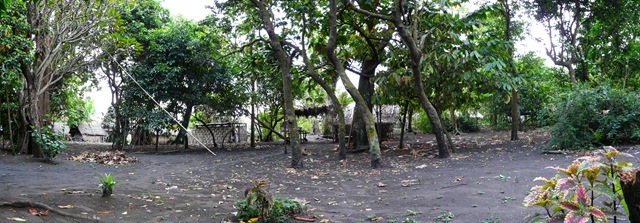 [P11208264.jpg]