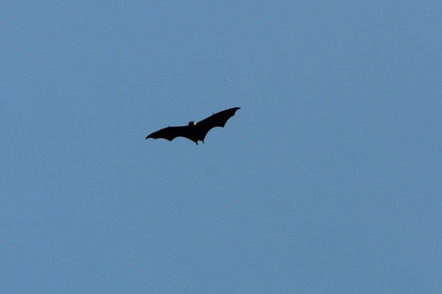 [P11208674.jpg]